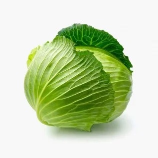 Organic green cabbage.